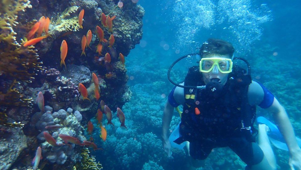 Hurghada: Full-Day Scuba Diving Discovery